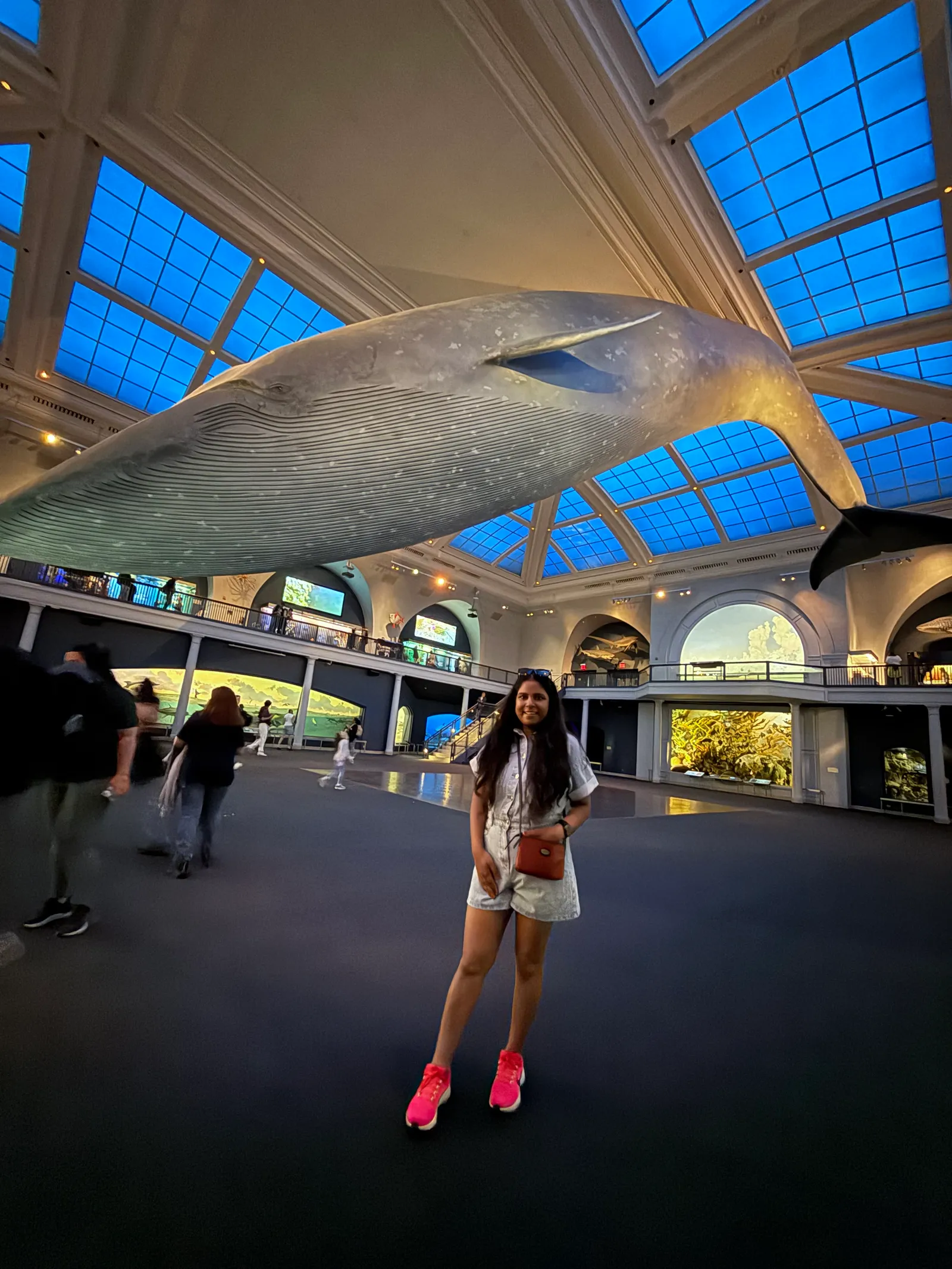 Blue whale
