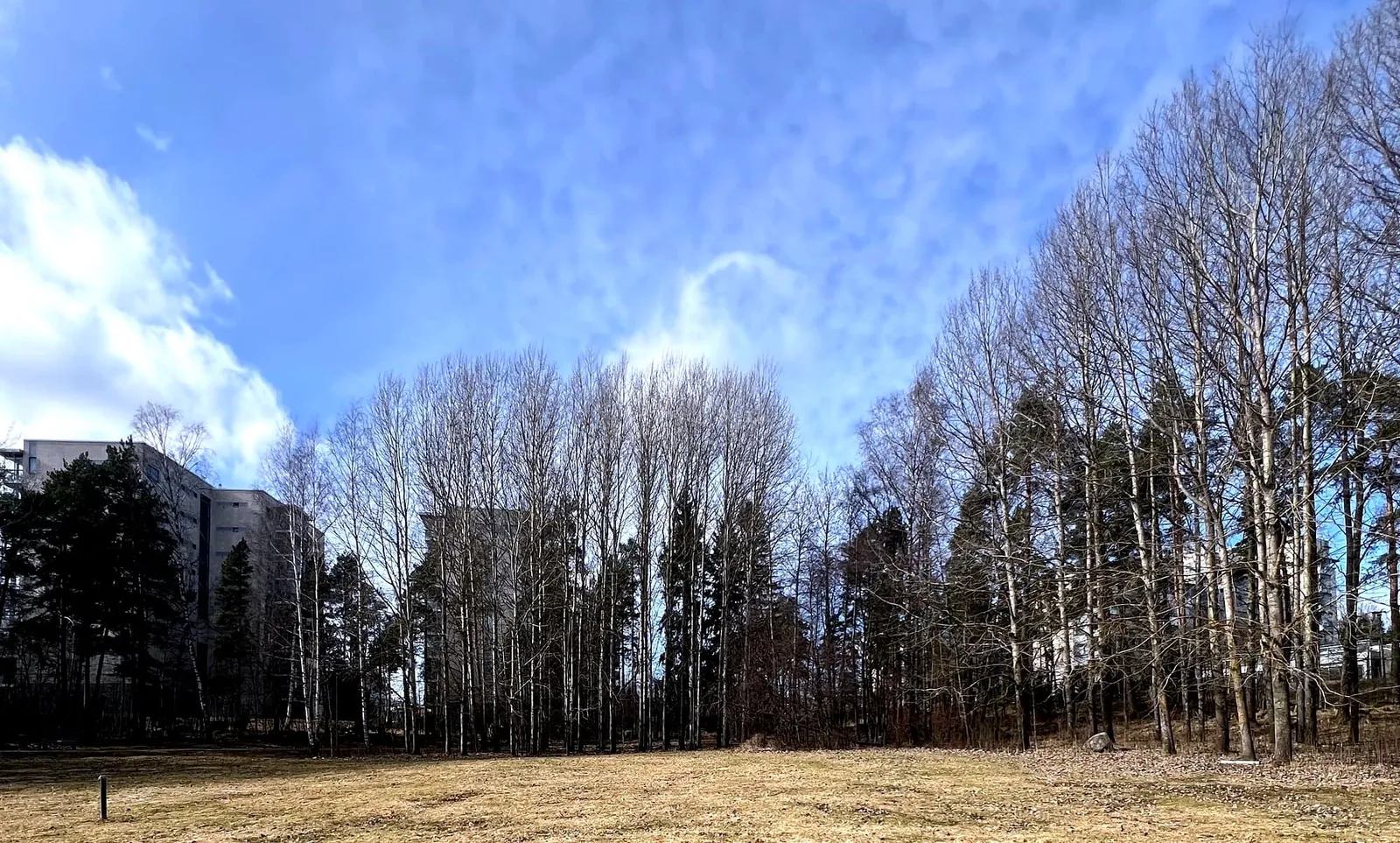 Spring Is Here