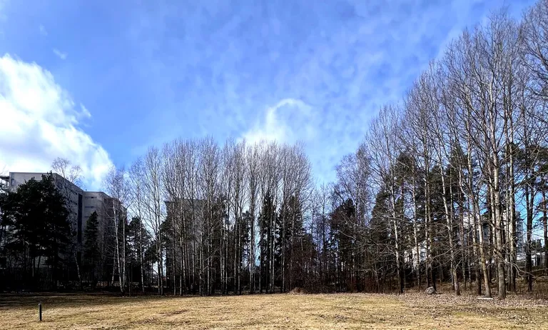 Spring Is Here