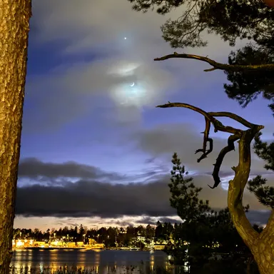 Good food, good life