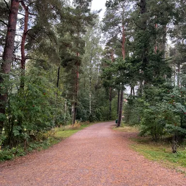 iPhones and Typography