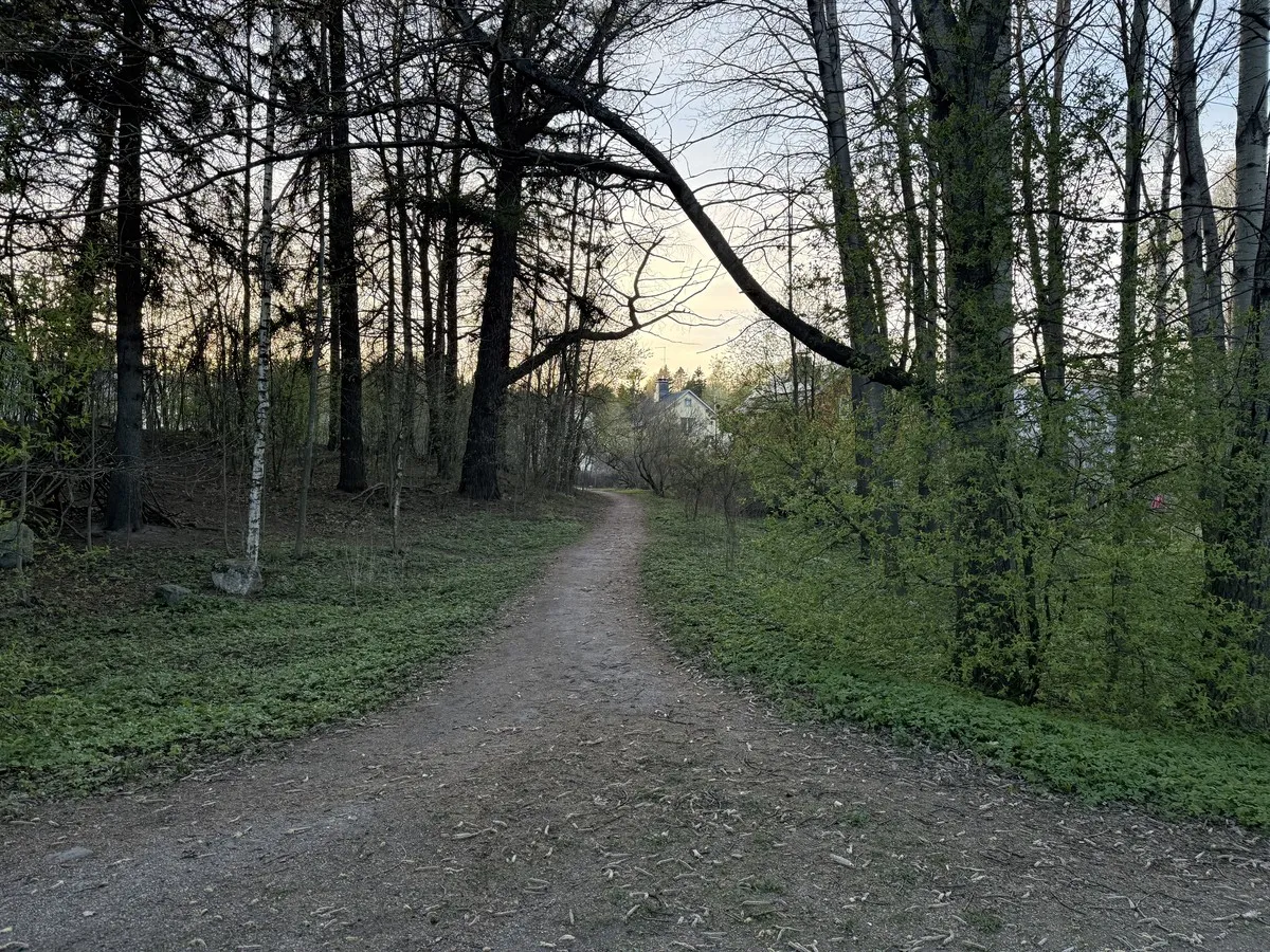 Spring