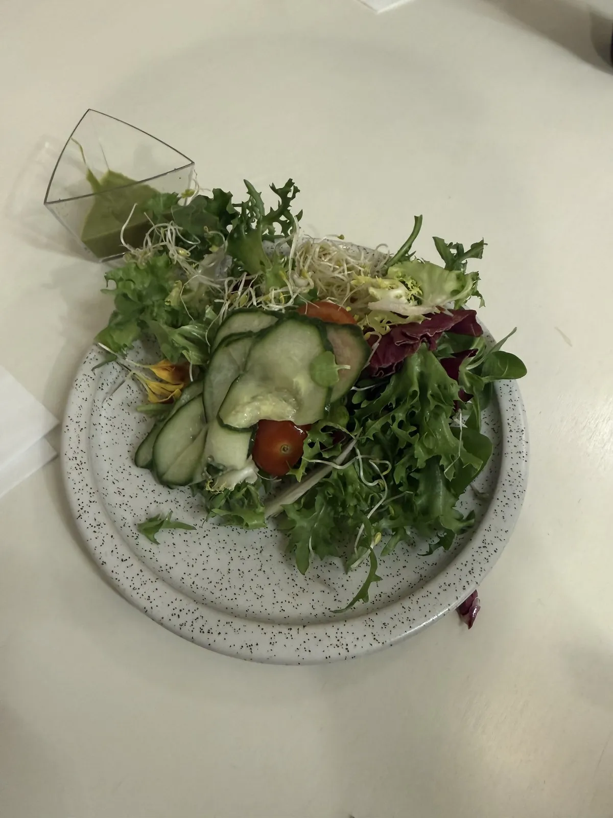 My plate