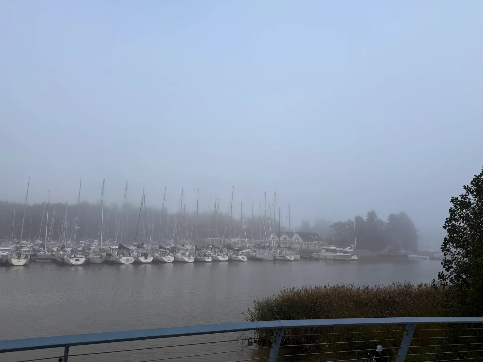 Ships lined in fog