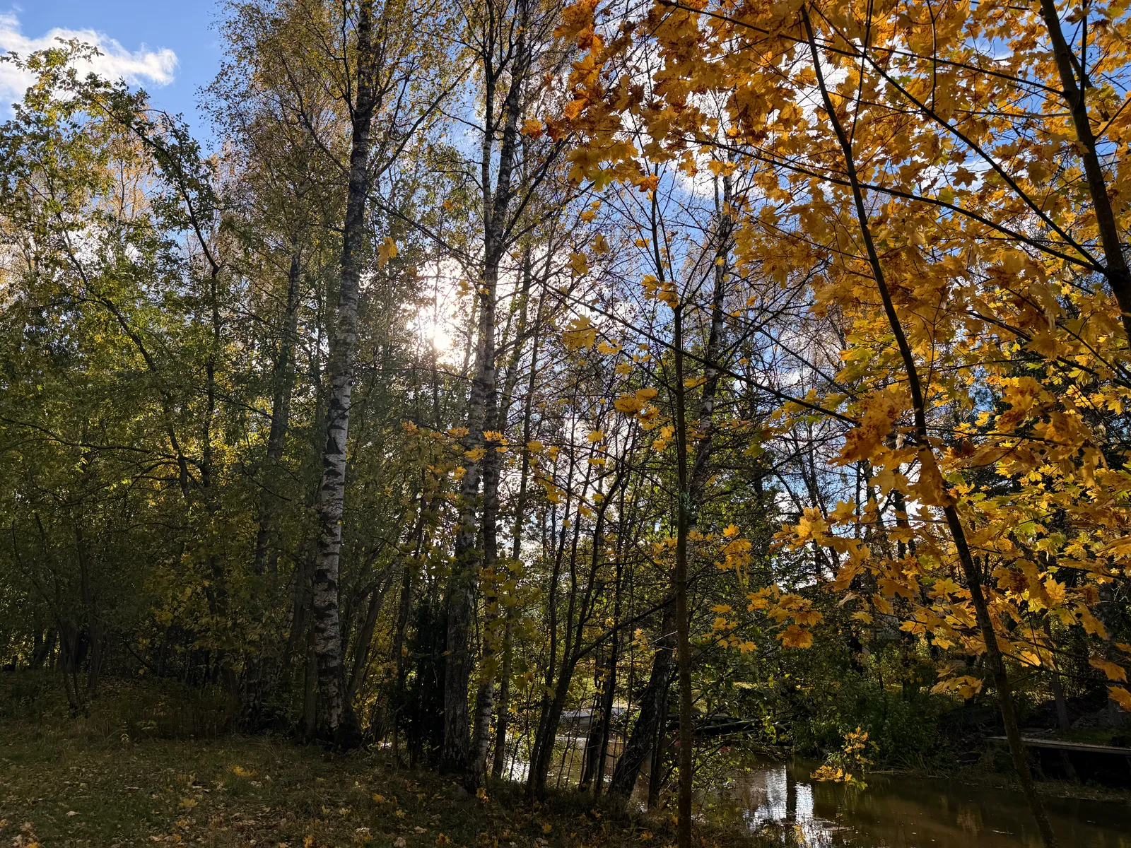 A walk