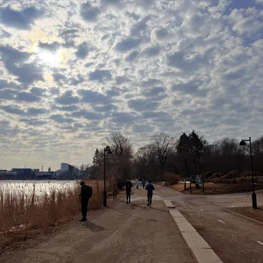 Spring in the Air