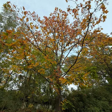 Our place in the world