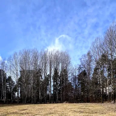 Spring Is Here