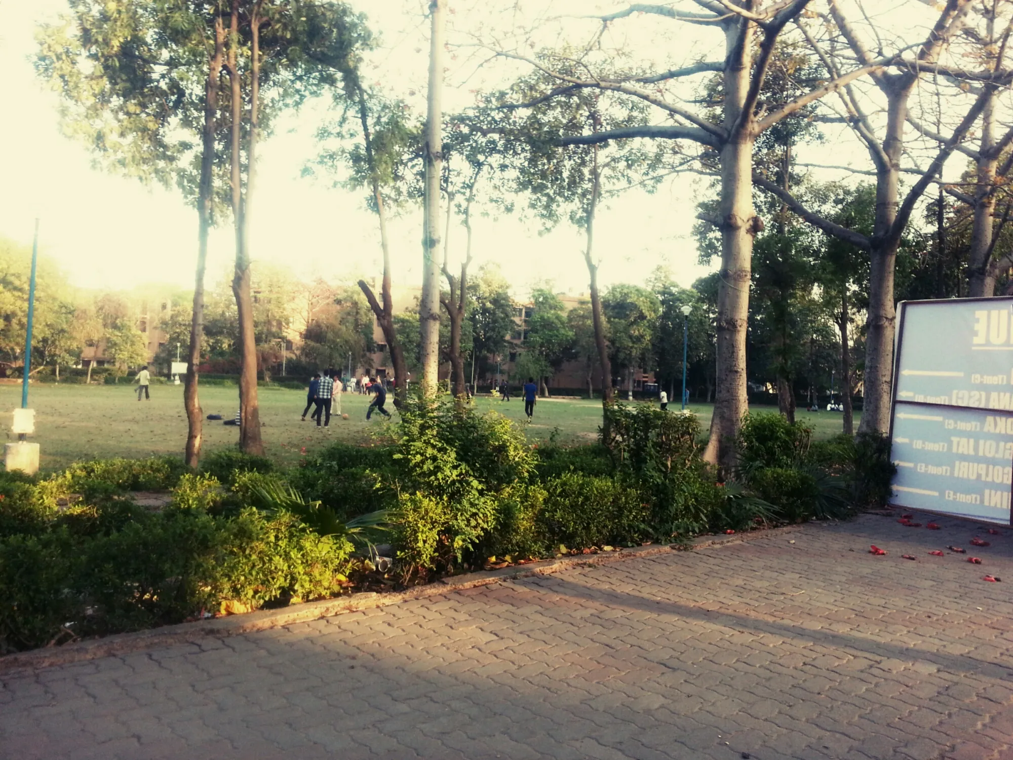 Day TwentyFour: Sport